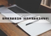 软件开发前景怎样（软件开发前景怎样知乎）